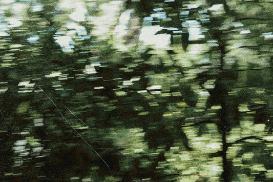 Journey Through Liminality: Crossing the Threshold