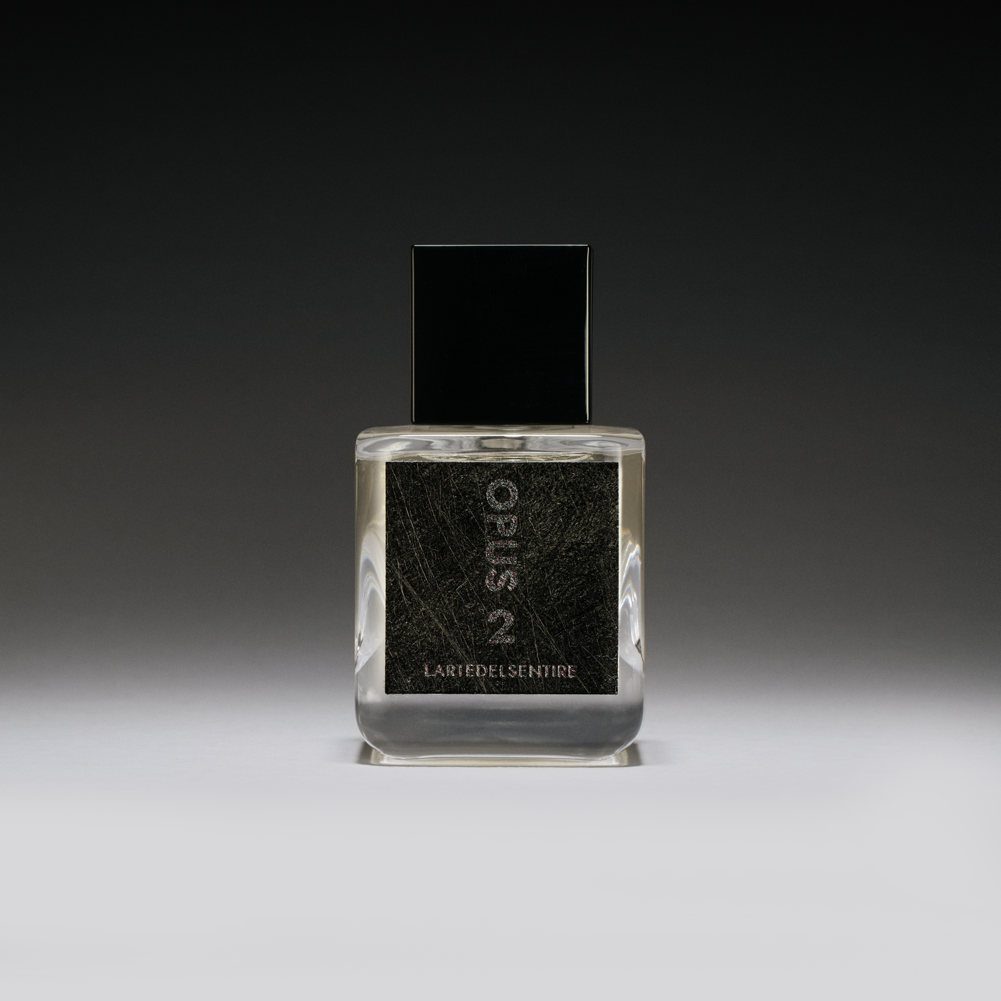 OPUS 2